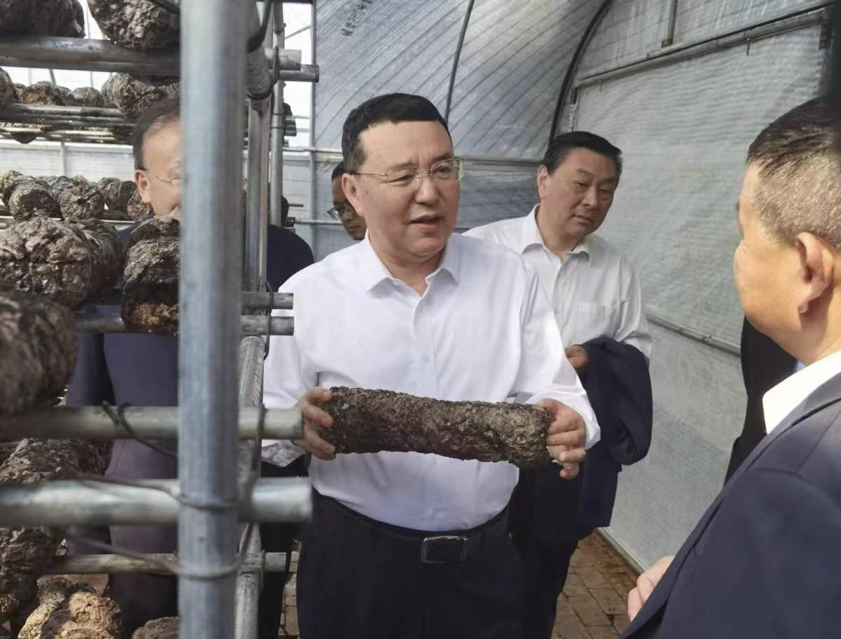 593136107.jpg 593136107.jpg