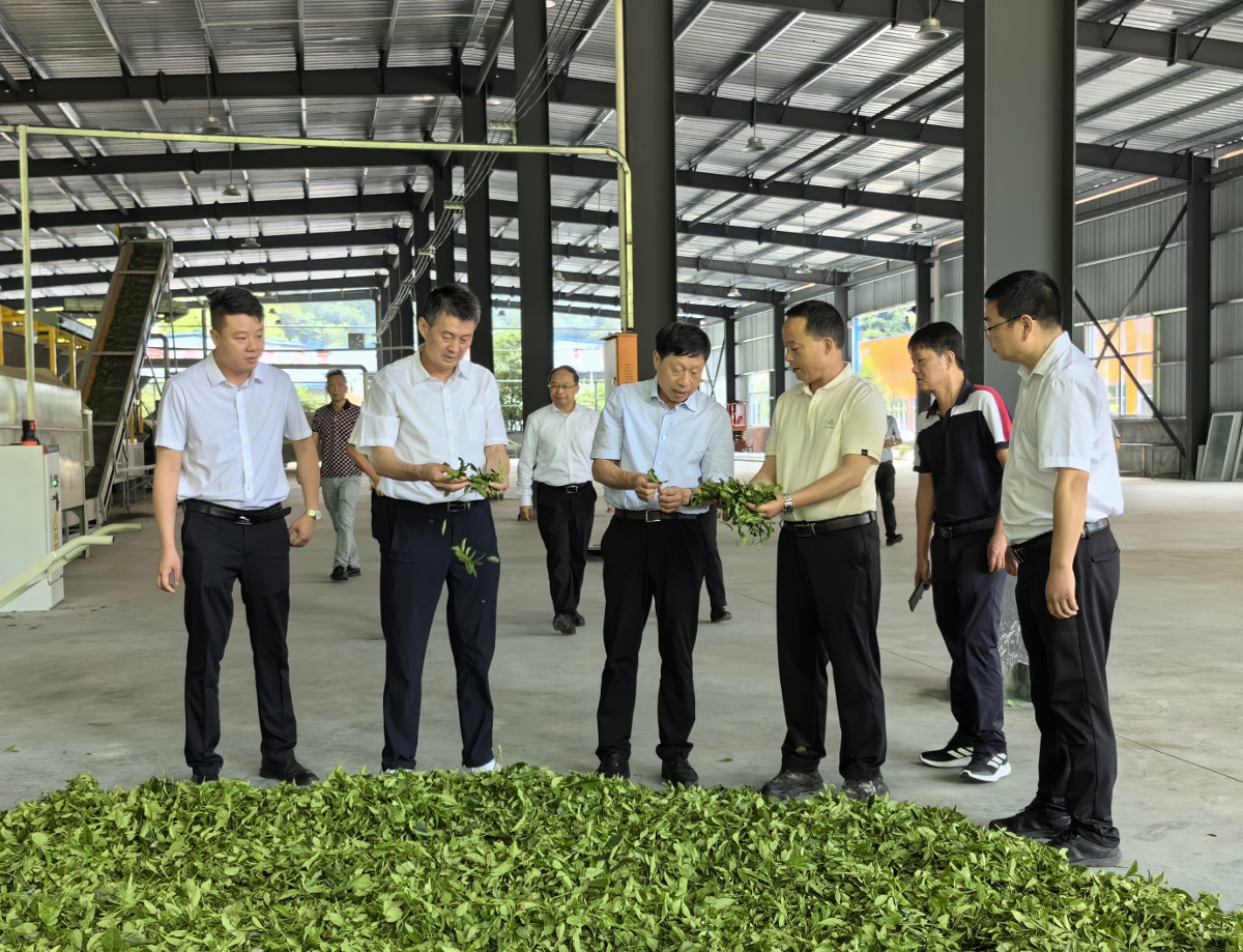 457431255.jpg 457431255.jpg